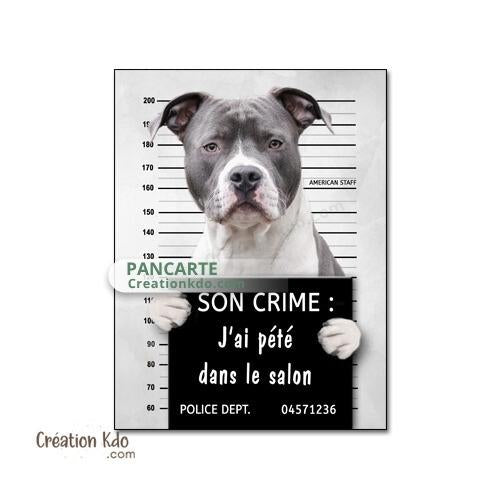 plaque prisonnier chien humour personnalisé american staff