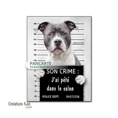 plaque prisonnier chien humour personnalisé american staff