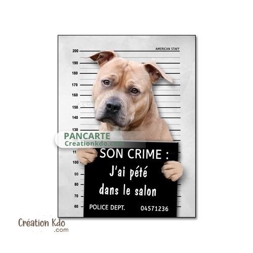 plaque prisonnier chien humour personnalisé american staff