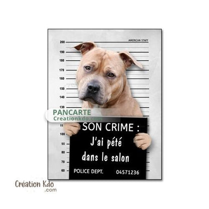 plaque prisonnier chien humour personnalisé american staff
