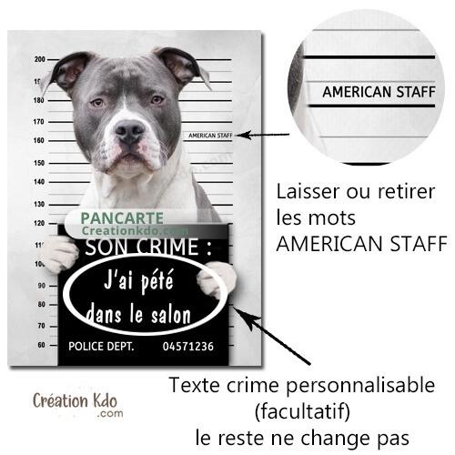 plaque prisonnier chien humour personnalisé american staff
