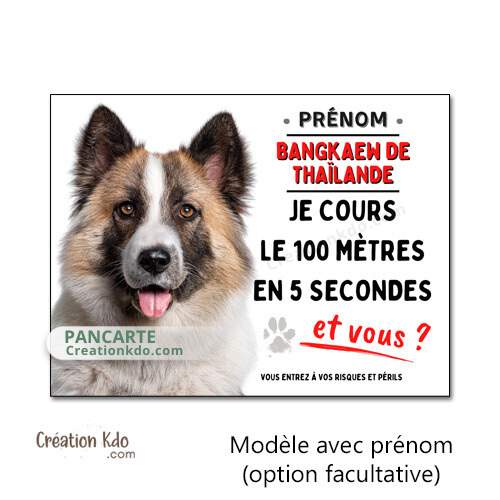 panneau bangkaew de thailande plaque attention au chien je monte la garde