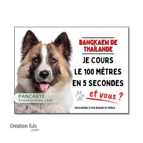 panneau bangkaew de thailande plaque attention au chien je monte la garde