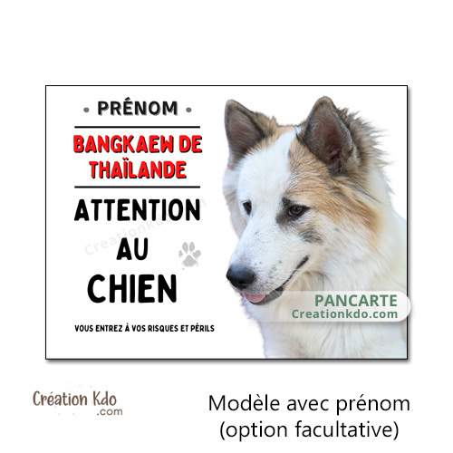 panneau bangkaew de thailande plaque attention au chien