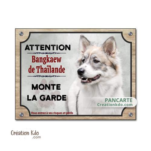 panneau bangkaew de thailande plaque attention au chien je monte la garde