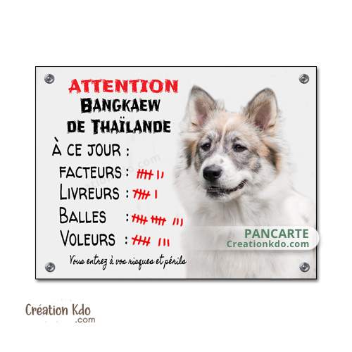 panneau bangkaew de thailande plaque attention au chien je monte la garde à ce jour