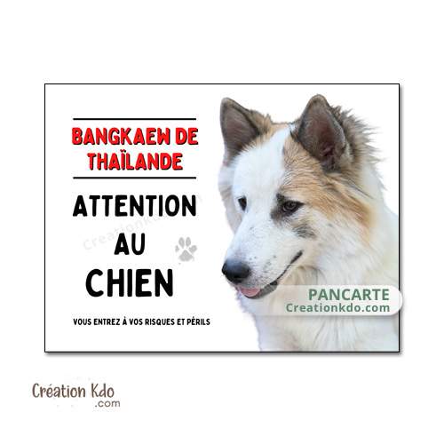 panneau bangkaew de thailande plaque attention au chien