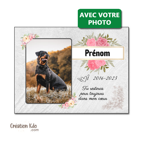 plaque funéraire chien chat animal de compagnie panneau souvenirs animal mémoire commémorative
