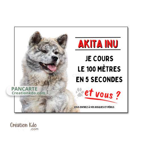 Plaque Akita Inu bringé roux humour Je cours le 100 mètres monte la garde panneau
