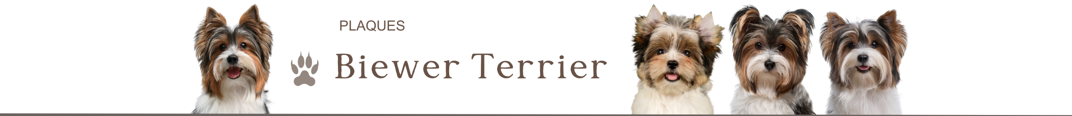 panneaux biewer terrier yorkshire je monte la garde plaque attention au chien pancarte portail