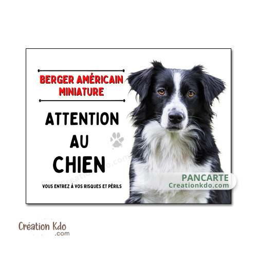 berger américain miniature noir et blanc panneau attention au chien je monte la garde plaque