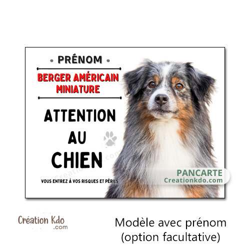 berger américain miniature merle panneau attention au chien je monte la garde plaque photo