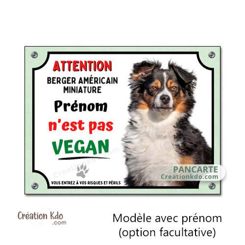 plaque berger américain miniature tricolore humour vegan panneau attention au chien personnalisé photo