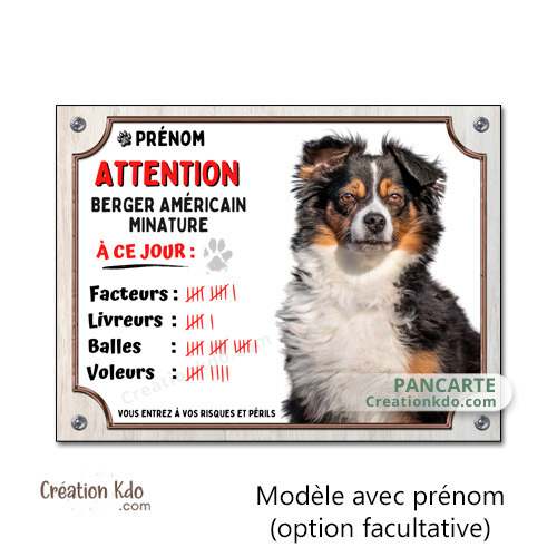 plaque berger américain miniature tricolore humour à ce jour facteur panneau attention au chien