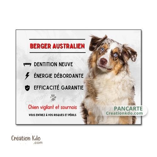 berger australien plaque attention au chien panneau portail je monte la garde