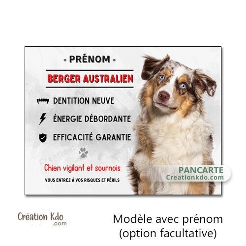 berger australien plaque attention au chien panneau portail je monte la garde photo