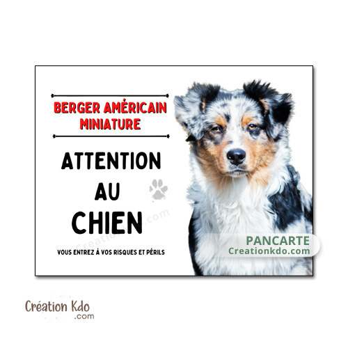 panneau berger américain miniature bleu merle attention au chien plaque je monte la garde