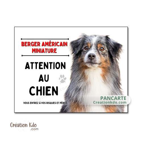 berger américain miniature merle panneau attention au chien je monte la garde plaque
