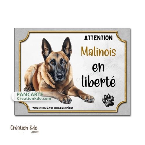 panneau malinois en liberté attention au chien berger belge plaque portail je monte la garde