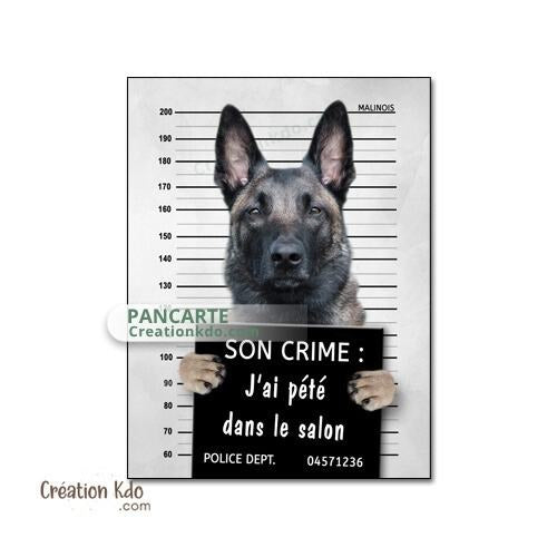 pancarte prisonnier chien photo malinois personnalisé plaque panneau je monte la garde
