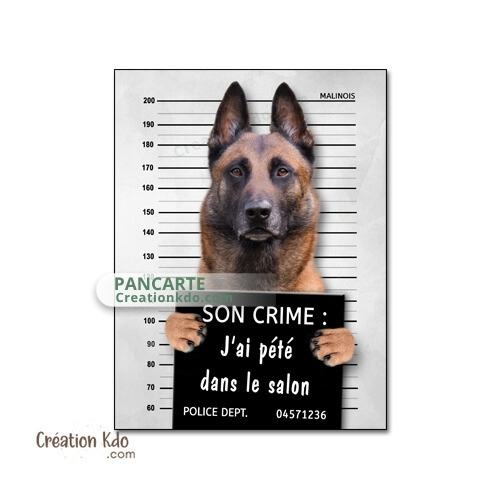 chien vegan humour panneau malinois plaque je monte la garde