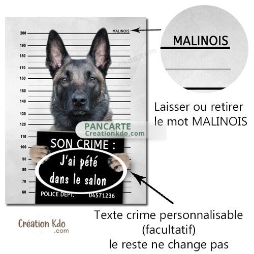 pancarte prisonnier chien photo malinois personnalisé plaque panneau je monte la garde