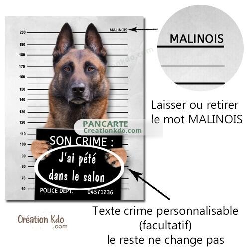 chien vegan humour panneau malinois plaque je monte la garde