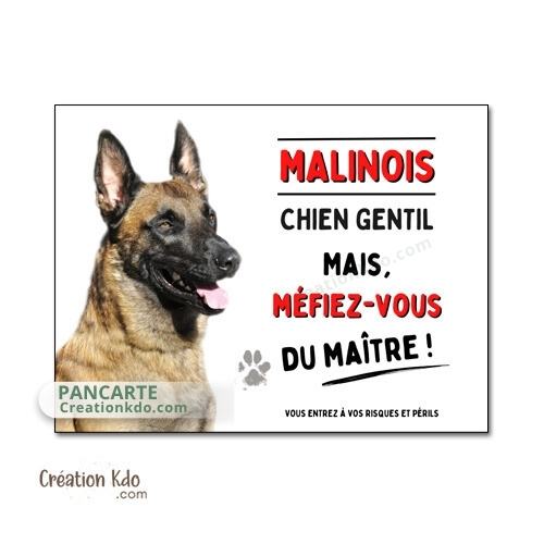 plaque malinois chien gentil méfiez-vous du maitre panneau monte la garde