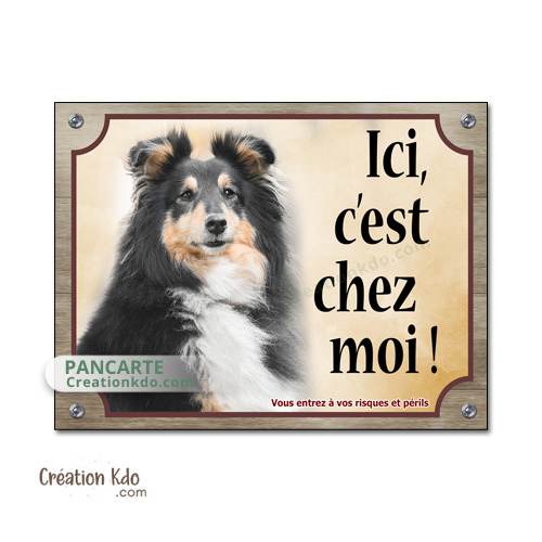 berger des shetland tricolore panneau attention au chien plaque je monte la garde