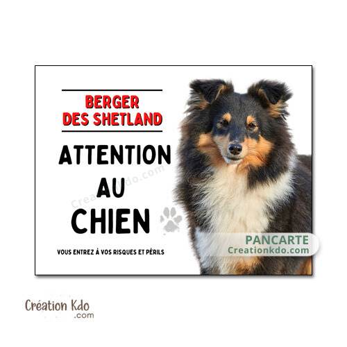 berger des shetland tricolore panneau attention au chien plaque monte la garde pancarte
