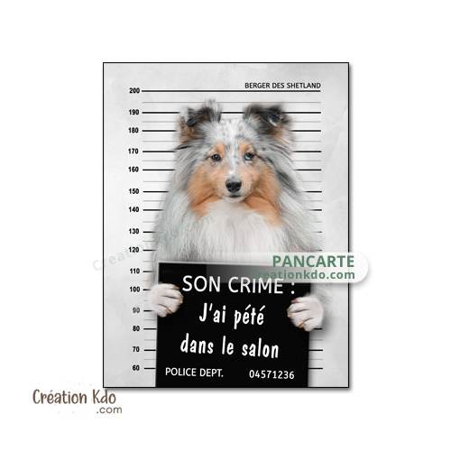 berger des shetland panneau attention au chien plaque je monte la garde pancarte