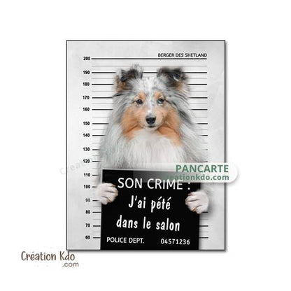 berger des shetland panneau attention au chien plaque je monte la garde pancarte