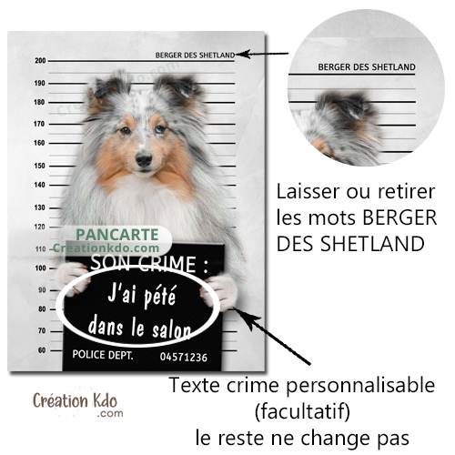 berger des shetland panneau attention au chien plaque je monte la garde pancarte personnalisée