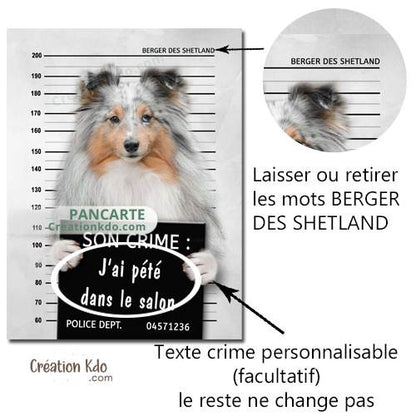 berger des shetland panneau attention au chien plaque je monte la garde pancarte personnalisée