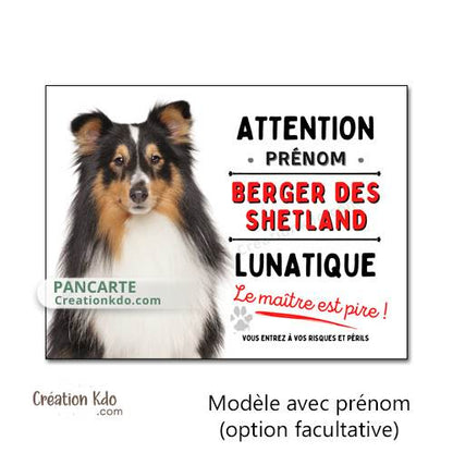 berger des shetland panneau attention au chien plaque je monte la garde pancarte