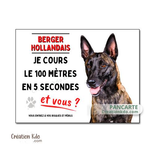 plaque attention au chien berger hollandais humour panneau portail monte la garde pancarte