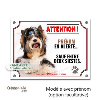 Plaque chien humour monte la garde Attention Biewer Terrier en alerte Panneau de portail yorkshire