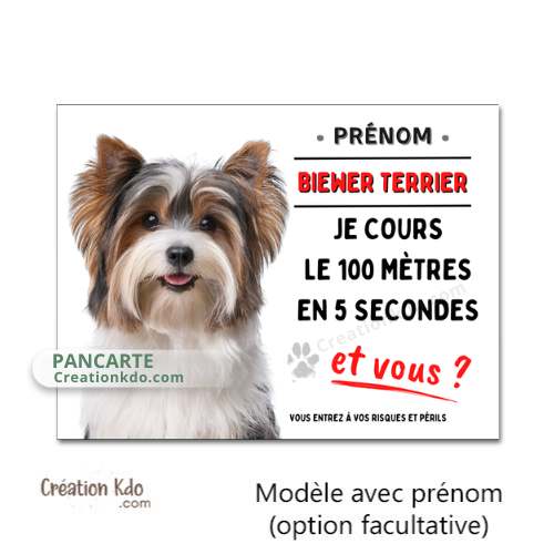Plaque chien humour Attention Biewer Terrier Je cours le 100 mètres Panneau portail