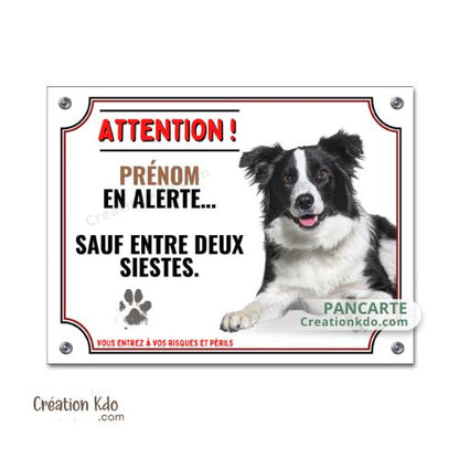 plaque humour border collie attention au chien panneau portail je monte la garde
