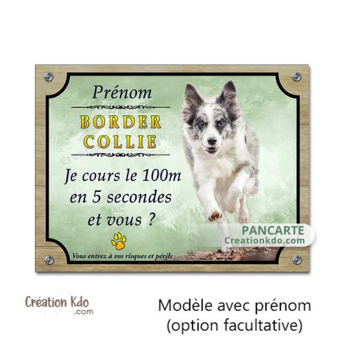 Plaque humour Border Collie Je cours le 100m panneau Attention au chien portail