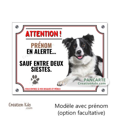 plaque humour border collie attention au chien panneau portail monte la garde
