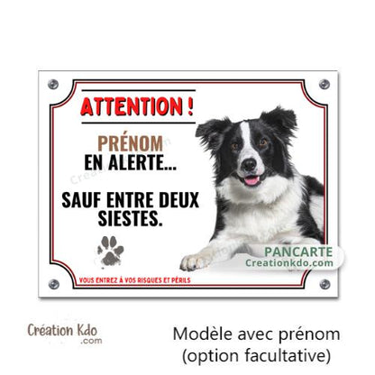 plaque humour border collie attention au chien panneau portail monte la garde