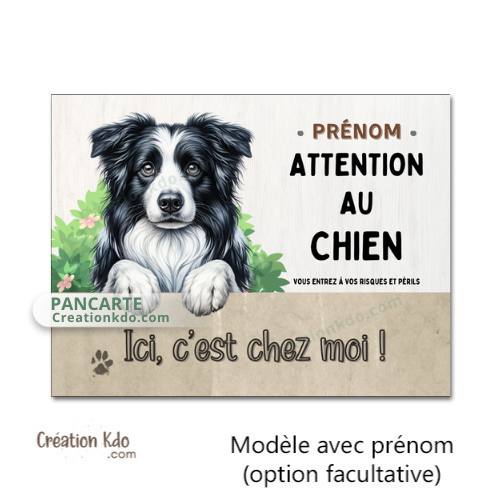 je monte la garde border collie