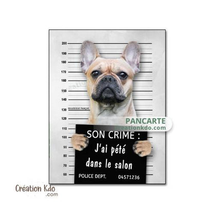 panneau bouledogue français humour attention au chien plaque je monte la garde pancarte prisonnier