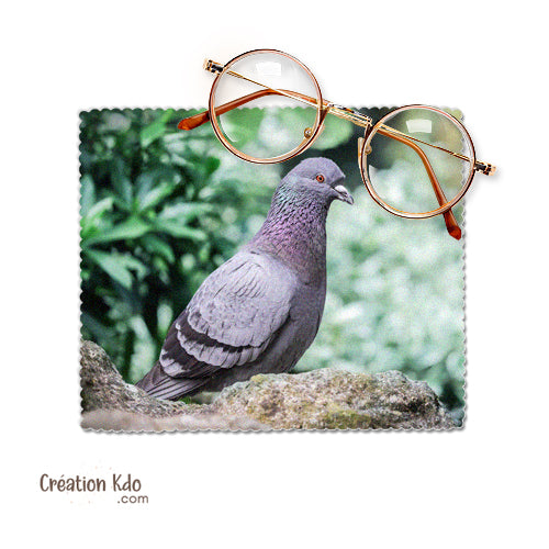 chiffon à lunettes col vert essuie lunette pigeon photo chiffonnette chamoisine