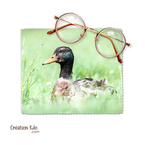 chiffon à lunettes col vert essuie lunette canard photo chiffonnette chamoisine