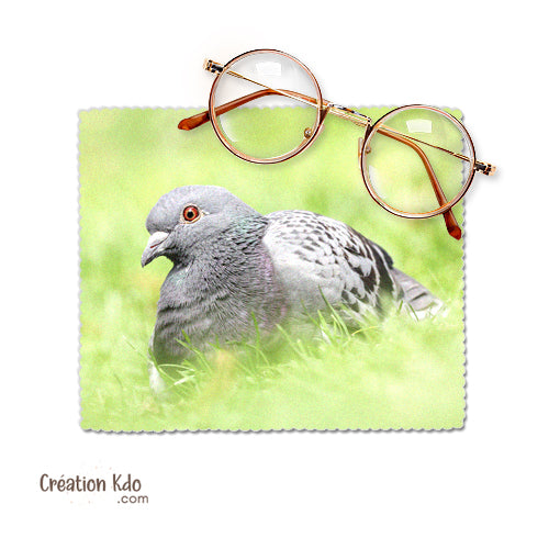 chiffon à lunettes col vert essuie lunette pigeon photo chiffonnette chamoisine