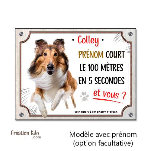 Plaque humour Colley Attention au chien Je cours le 100 mètres Panneau portail