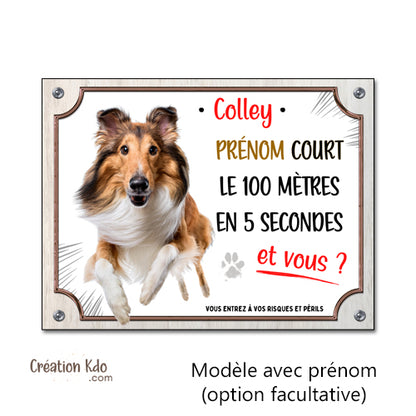 Plaque humour Colley Attention au chien Je cours le 100 mètres Panneau portail