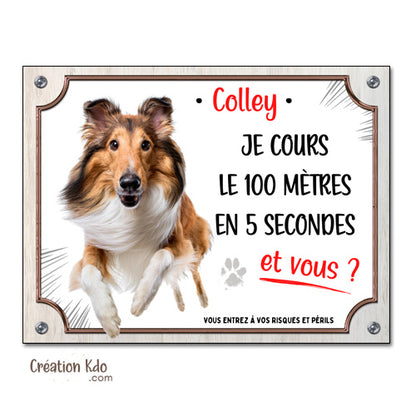 Plaque humour Colley Attention au chien Je cours le 100 mètres Panneau portail